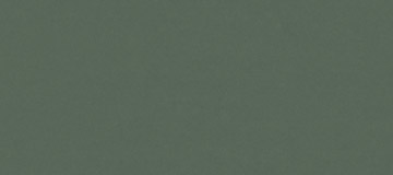 2207 Rain forest green